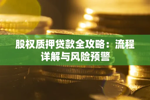 武汉股权质押贷款全攻略：流程详解与风险预警