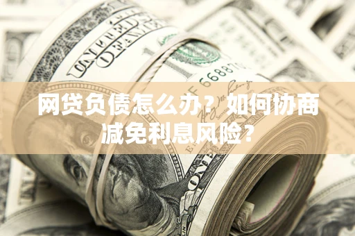 武汉网贷负债怎么办？如何协商减免利息风险？