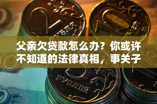 武汉父亲欠贷款怎么办？你或许不知道的法律真相，事关子女未来
