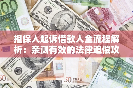 武汉担保人起诉借款人全流程解析：亲测有效的法律追偿攻略