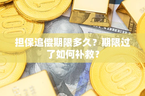 武汉担保追偿期限多久？期限过了如何补救？