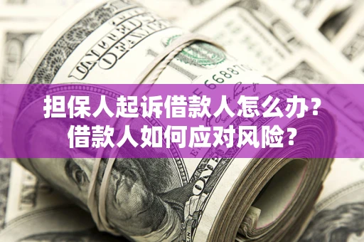 武汉担保人起诉借款人怎么办？借款人如何应对风险？