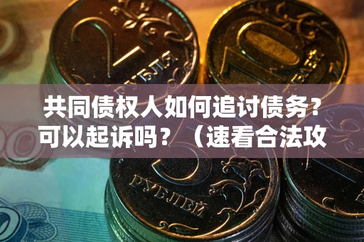 武汉共同债权人如何追讨债务？可以起诉吗？（速看合法攻略）