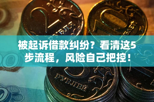 武汉被起诉借款纠纷？看清这5步流程，风险自己把控！