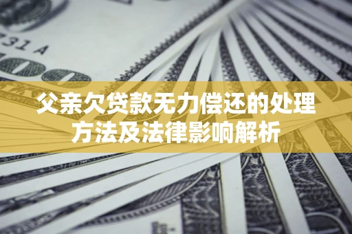 武汉父亲欠贷款无力偿还的处理方法及法律影响解析