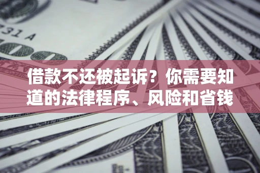 武汉借款不还被起诉？你需要知道的法律程序、风险和省钱技巧